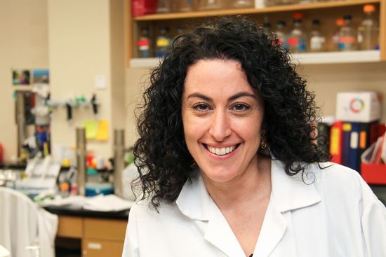Dr. Linda Chelico’s (PhD) lab studies APOBEC3, a protein that defends our cells against HIV. (Photo: USask/College of Medicine) Dr. Linda Chelico’s (PhD) lab studies APOBEC3, a protein that defends our cells against HIV. (Photo: USask/College of Medicine)